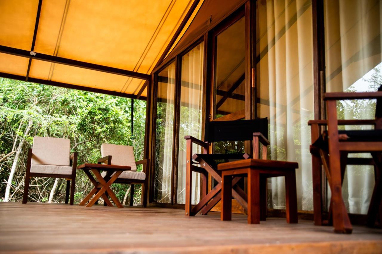 Wild Trails By Suri Luxury tent 5*